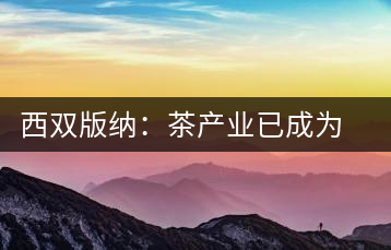 西雙版納：茶產業(yè)已成為茶區(qū)經濟的重要支柱產業(yè)