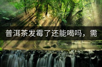 普洱茶發(fā)霉了還能喝嗎，需要怎么處理？