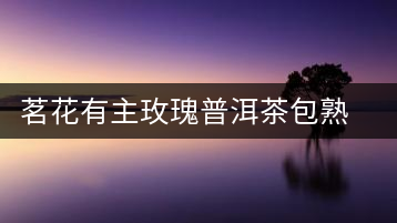 茗花有主玫瑰普洱茶包熟茶組合花茶袋三角茶包袋泡茶玫瑰花茶包