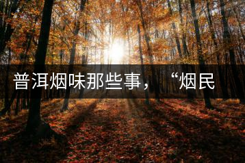 普洱煙味那些事，“煙民”不怕當(dāng)
