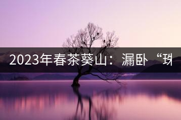 2023年春茶葵山：漏臥“珠江紅：1200元-3200元（有3個檔次）漏臥“大廠茶”：古樹單株8600-9000元／公斤，中樹4800-5200元／公斤，小樹混采2600-2800元／公斤。