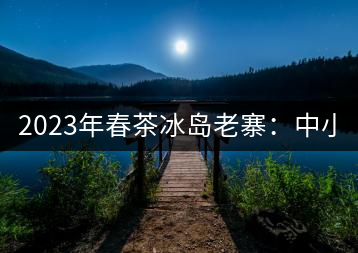 2023年春茶冰島老寨：中小樹混采2500-3000元／公斤，大樹：7000-8000元／公斤，古樹混采：28000-36000元／公斤