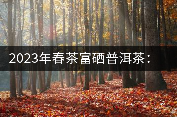 2023年春茶富硒普洱茶：1.富硒有機(jī)手工生普，市場指導(dǎo)價(jià)800元／公斤；2.富硒有機(jī)一級紅茶，市場指導(dǎo)價(jià)800元／公斤；3.富硒有機(jī)熟普餅，市場指導(dǎo)價(jià)1000元／公斤；4.富硒有機(jī)月光白茶，市場指導(dǎo)價(jià)800元／公斤。