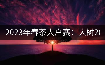 2023年春茶大戶(hù)賽：大樹(shù)200-300元／公斤，古樹(shù)800-1000元／公斤