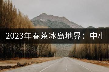 2023年春茶冰島地界：中小樹1300-1500元／公斤，古樹2200~2500元／公斤