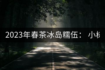 2023年春茶冰島糯伍： 小樹1300元／公斤，古樹：2100~2300元／公斤