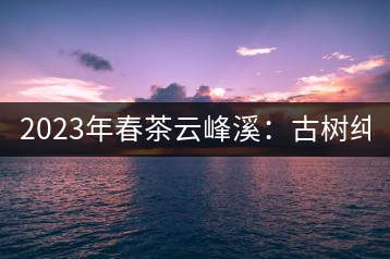 2023年春茶云峰溪：古樹純料：1200-1500元／公斤，古樹混采800-1000元／公斤，大樹500-800元／公斤，小樹300-500元／公斤