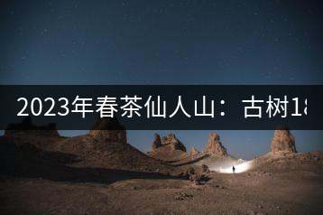 2023年春茶仙人山：古樹1800-2500元／公斤，老曼峨：小樹：600元／公斤 1600-1800元／公斤