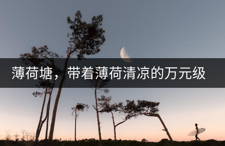 薄荷塘，帶著薄荷清涼的萬元級普洱