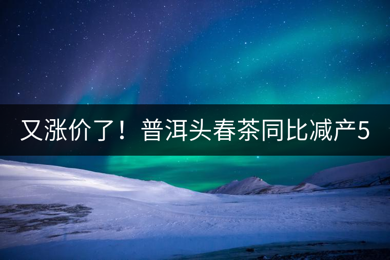 又漲價了！普洱頭春茶同比減產(chǎn)50%，薄荷塘一類鮮葉需當面議價