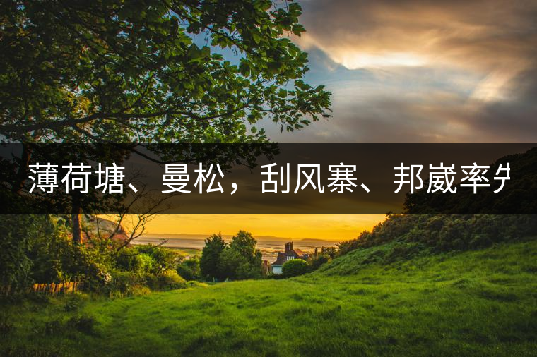 薄荷塘、曼松，刮風寨、邦崴率先開采，2019普洱春季大戰(zhàn)開始了