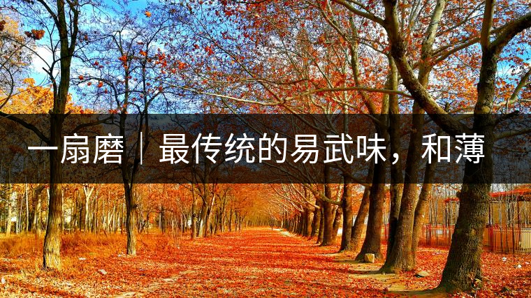 一扇磨｜最傳統(tǒng)的易武味，和薄荷塘一脈同宗，價(jià)格卻天差地別