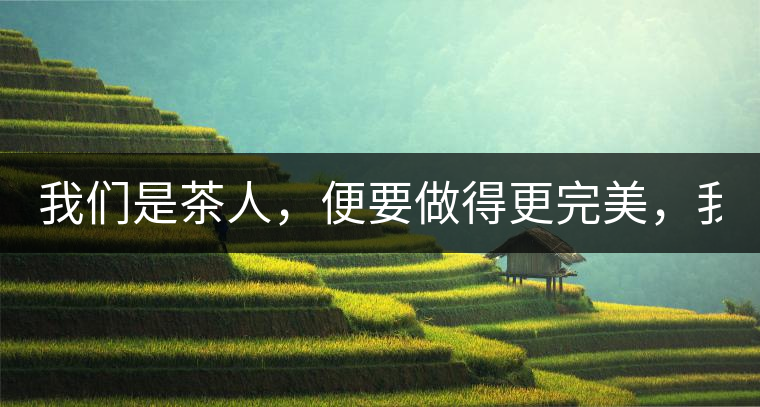 我們是茶人，便要做得更完美，我們是茶客，便要懂得沉默...我們是茶人，便要做得更完美，我們是茶客，便要懂得沉默！
