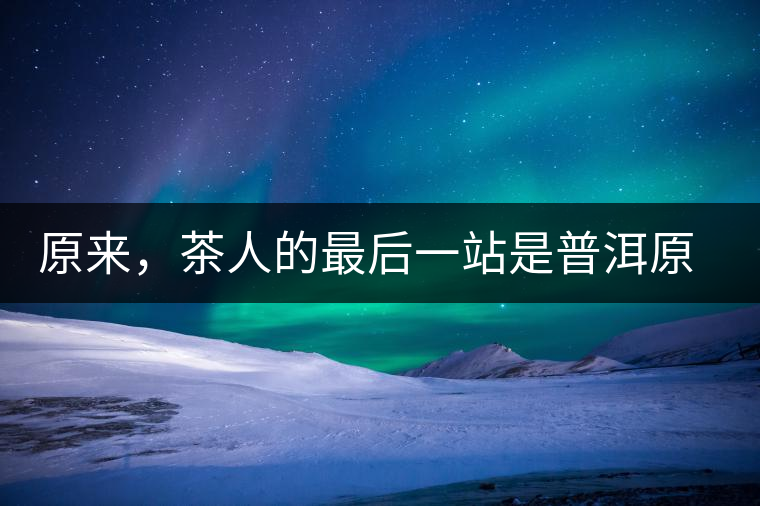 原來，茶人的最后一站是普洱原來，茶人的最后一站是普洱