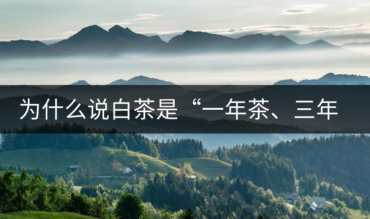 為什么說白茶是“一年茶、三年藥、七年寶”?為什么說白茶是“一年茶、三年藥、七年寶”？