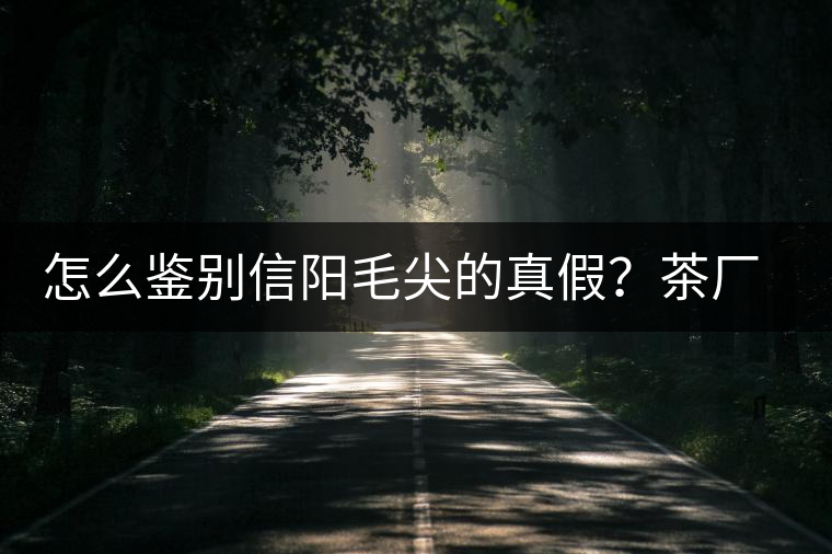 怎么鑒別信陽(yáng)毛尖的真假？茶廠小姐姐親自告訴你茶葉的等級(jí)