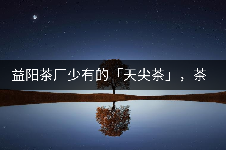 益陽茶廠少有的「天尖茶」，茶品升級，收藏趁早！