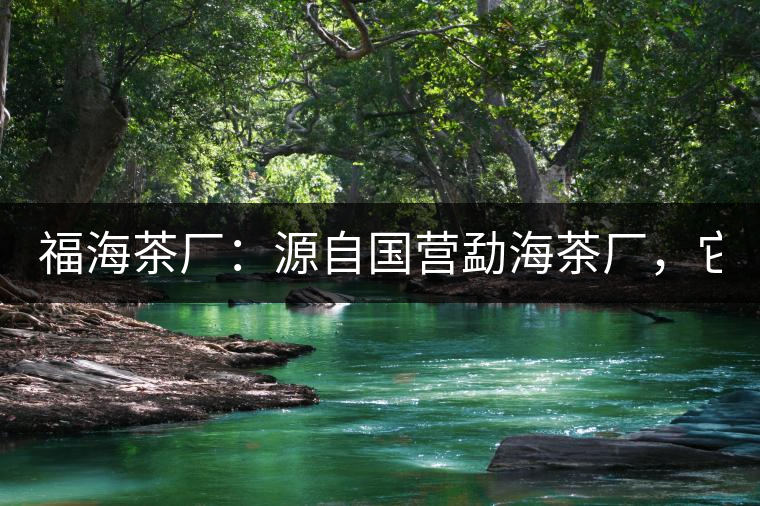 福海茶廠：源自國(guó)營(yíng)勐海茶廠，它是99易武綠星星之母