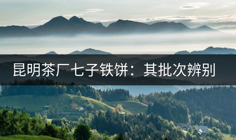 昆明茶廠七子鐵餅：其批次辨別、配方、年份大盤點(diǎn)！