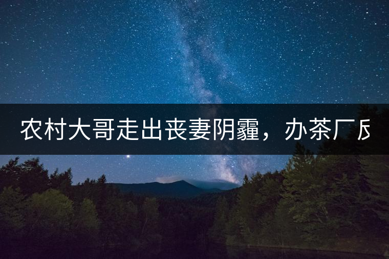 農(nóng)村大哥走出喪妻陰霾，辦茶廠反哺鄉(xiāng)鄰，每天處理鮮葉4000斤