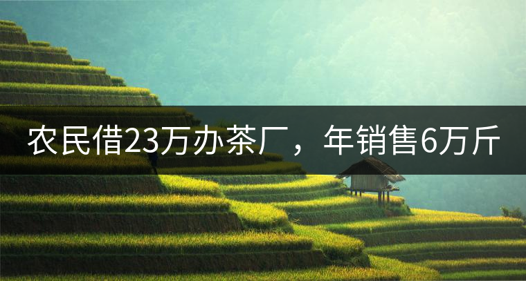 農(nóng)民借23萬辦茶廠，年銷售6萬斤，每天休息僅20分鐘!農(nóng)民借23萬辦茶廠，年銷售6萬斤，每天休息僅20分鐘！