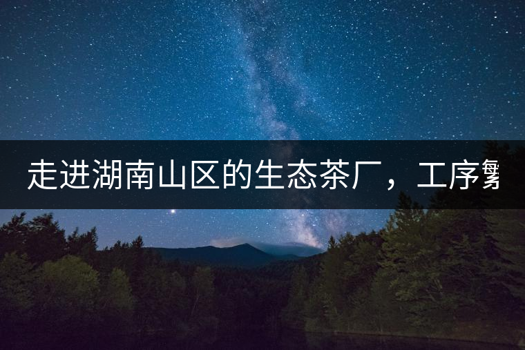 走進(jìn)湖南山區(qū)的生態(tài)茶廠，工序繁雜精細(xì)，538塊錢1斤真值走進(jìn)湖南山區(qū)的生態(tài)茶廠，工序繁雜精細(xì)，538塊錢1斤真值