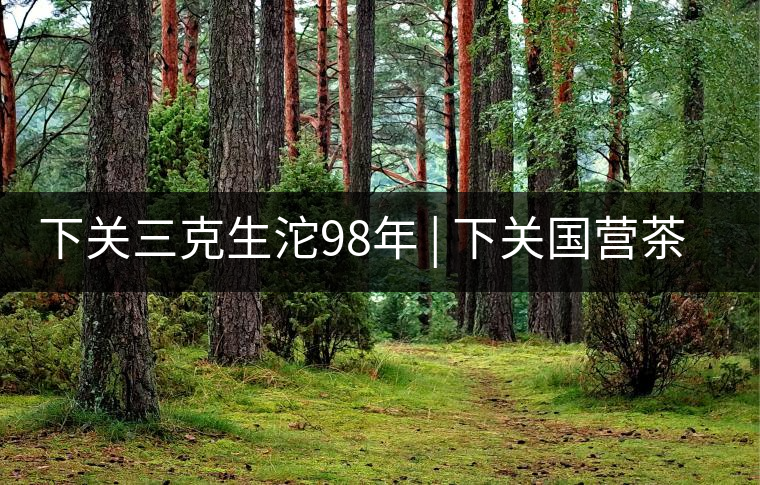 下關(guān)三克生沱98年 | 下關(guān)國(guó)營(yíng)茶廠出口料，干倉(cāng)儲(chǔ)存，...下關(guān)三克生沱98年 | 下關(guān)國(guó)營(yíng)茶廠出口料，干倉(cāng)儲(chǔ)存，19年老茶！