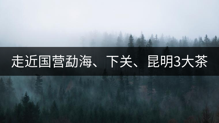 走近國營勐海、下關(guān)、昆明3大茶廠，傳世代表作的發(fā)展詳...走近國營勐海、下關(guān)、昆明3大茶廠，傳世代表作的發(fā)展詳解