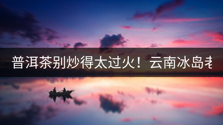 普洱茶別炒得太過火！云南冰島老寨“茶王樹”采摘權88萬成交？