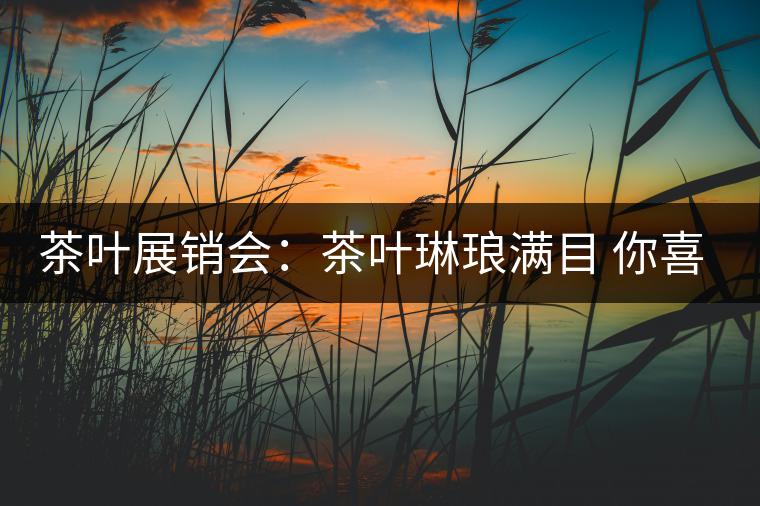 茶葉展銷會(huì)：茶葉琳瑯滿目 你喜歡哪種？