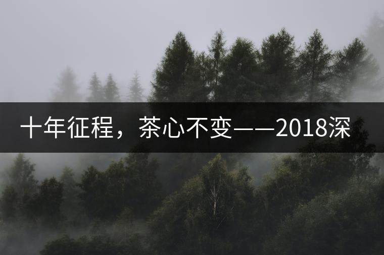 十年征程，茶心不變——2018深圳秋季茶博會12月13日隆重開幕！