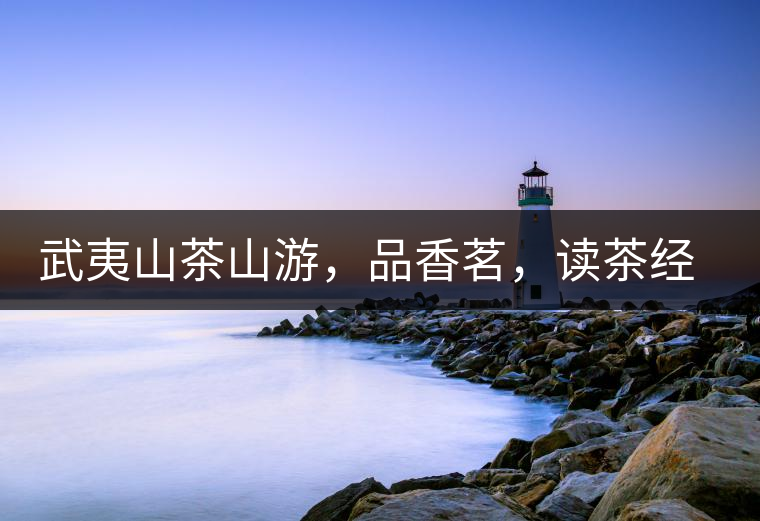 武夷山茶山游，品香茗，讀茶經，賞茶景，學茶歷史!武夷山茶山游，品香茗，讀茶經，賞茶景，學茶歷史！