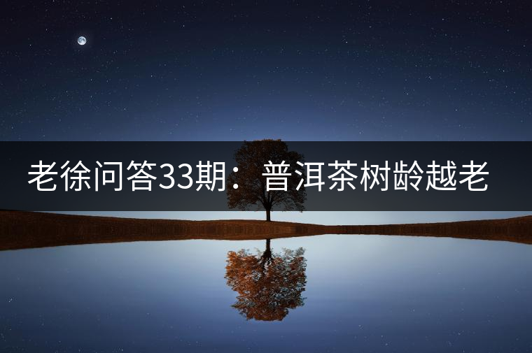 老徐問答33期：普洱茶樹齡越老越貴，那100年樹齡的老班章呢？