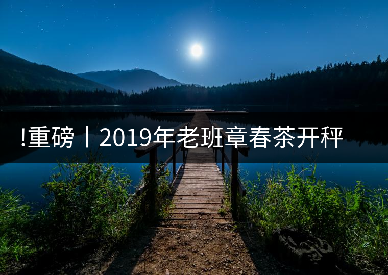 !重磅丨2019年老班章春茶開秤，一筆定價？如此出人意料！
