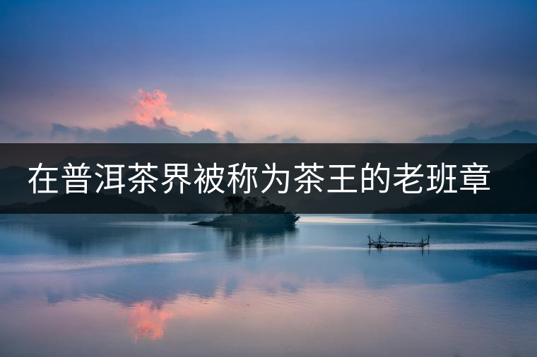 在普洱茶界被稱為茶王的老班章，為何有人愛(ài)有人恨？