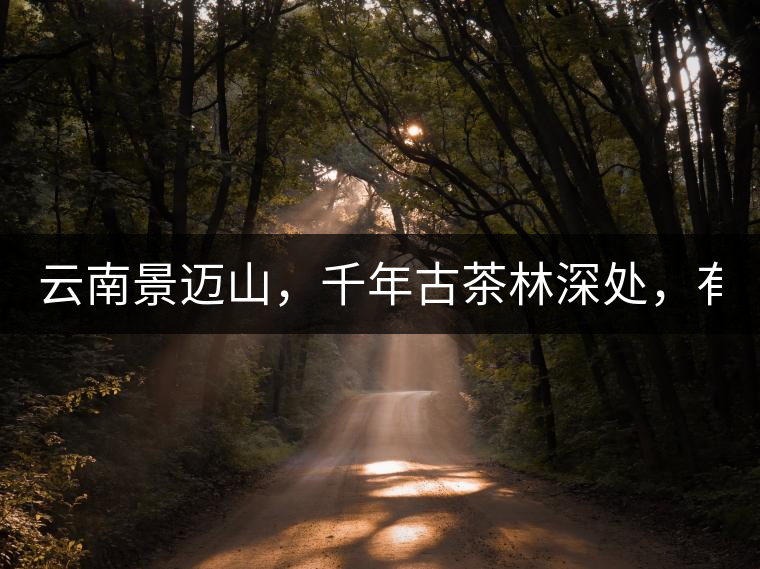 云南景邁山，千年古茶林深處，有一座世外桃源般的糯...云南景邁山，千年古茶林深處，有一座世外桃源般的糯干古寨