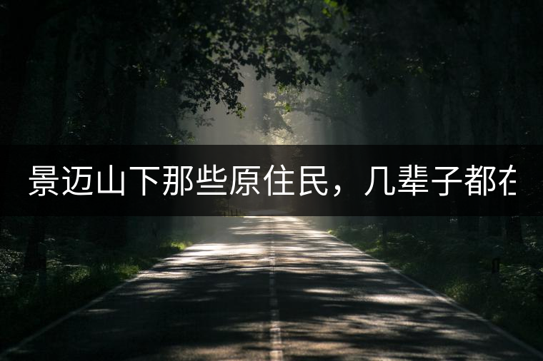 景邁山下那些原住民，幾輩子都在采茶、制茶，才有最...景邁山下那些原住民，幾輩子都在采茶、制茶，才有最好喝的普洱
