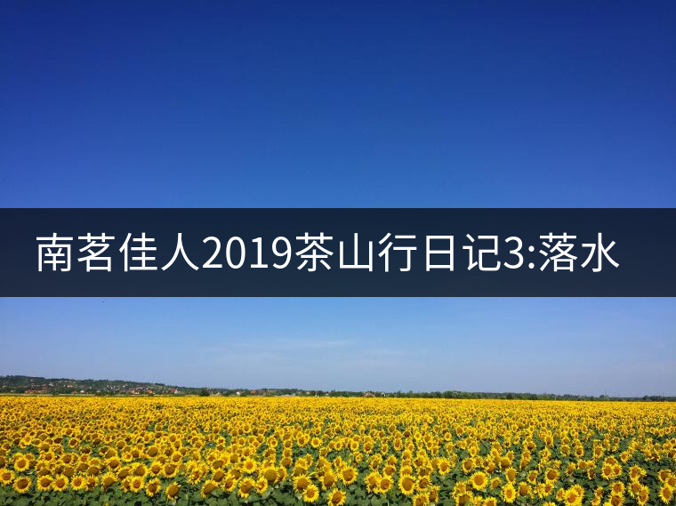 南茗佳人2019茶山行日記3:落水洞--200多年建村歷史，...南茗佳人2019茶山行日記3：落水洞——200多年建村歷史，靈動清越