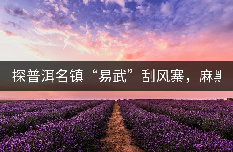 探普洱名鎮(zhèn)“易武”刮風寨，麻黑，落水洞!小編親自下...探普洱名鎮(zhèn)“易武”刮風寨，麻黑，落水洞！小編親自下手“殺青”