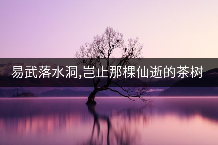 易武落水洞,豈止那棵仙逝的茶樹王?易武落水洞,豈止那棵仙逝的茶樹王？