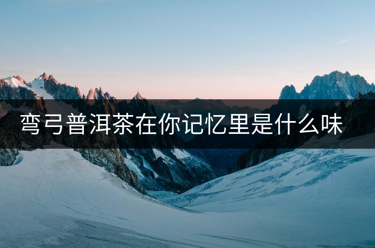 彎弓普洱茶在你記憶里是什么味道？