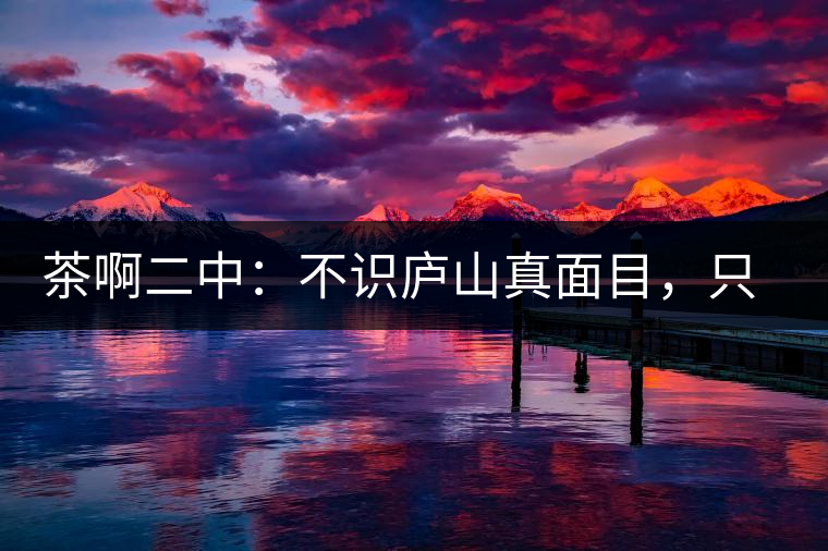 茶啊二中：不識(shí)廬山真面目，只識(shí)彎弓射大雕，賈淳真搞笑