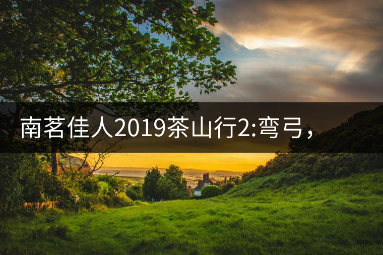 南茗佳人2019茶山行2:彎弓，一路艱辛，只為這有生命...南茗佳人2019茶山行2：彎弓，一路艱辛，只為這有生命厚度的茶！
