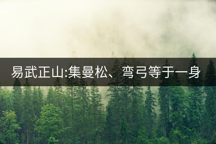 易武正山:集曼松、彎弓等于一身的貴族老黃片，好喝沒得...易武正山：集曼松、彎弓等于一身的貴族老黃片，好喝沒得說