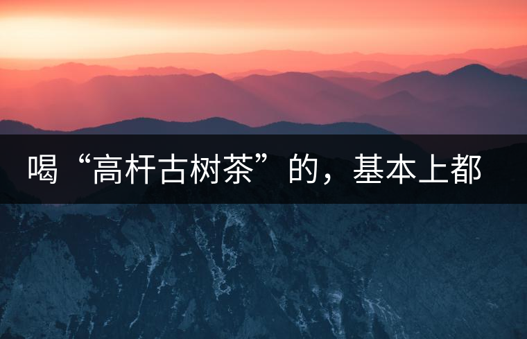 喝“高桿古樹(shù)茶”的，基本上都是不懂茶的