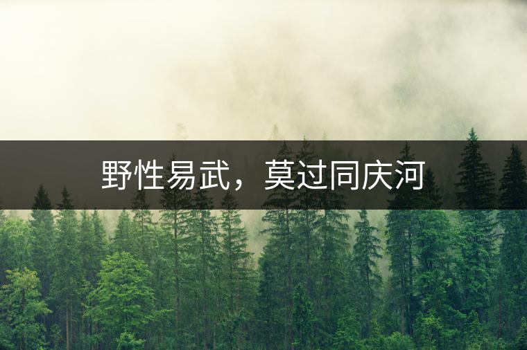 野性易武，莫過同慶河