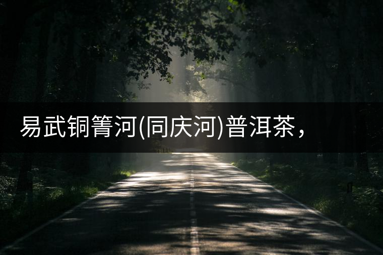 易武銅箐河(同慶河)普洱茶，讓我拜倒的不止它的口感易武銅箐河（同慶河）普洱茶，讓我拜倒的不止它的口感