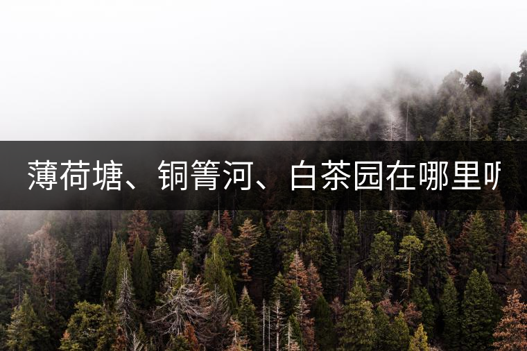 薄荷塘、銅箐河、白茶園在哪里呢?薄荷塘、銅箐河、白茶園在哪里呢？