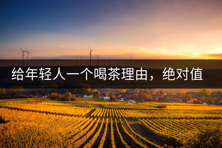 給年輕人一個喝茶理由，絕對值得收藏的茶葉包裝給年輕人一個喝茶理由，絕對值得收藏的茶葉包裝