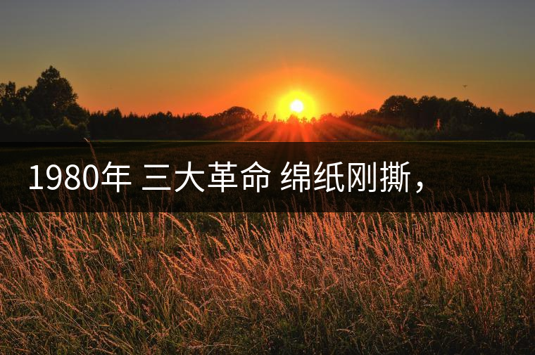 1980年 三大革命 綿紙剛撕，品相極好，整體干凈漂亮1980年 三大革命 綿紙剛撕，品相極好，整體干凈漂亮